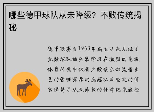 哪些德甲球队从未降级？不败传统揭秘